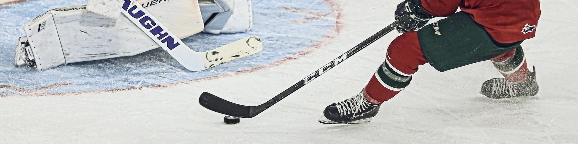 Mooseheads2.jpg - Cloned - Cloned