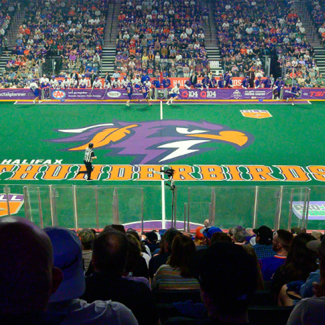 Wide view of a packed indoor lacrosse arena during a Halifax Thunderbirds game. Spectators fill the stands surrounding a green turf field featuring a large Thunderbirds logo at centre field. Players are positioned across the playing surface, with goals at each end and arena advertising boards lining the perimeter. The photo is taken from the lower seating bowl, capturing the scale and energy of the event.